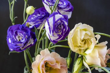 Güzel, narin çiçeklerin, doğal duvar kağıtlarının manzarasını kapat.       