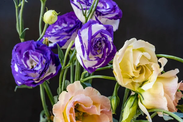 Güzel, narin çiçeklerin, doğal duvar kağıtlarının manzarasını kapat.       