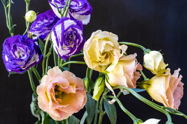 Güzel, narin çiçeklerin, doğal duvar kağıtlarının manzarasını kapat.         