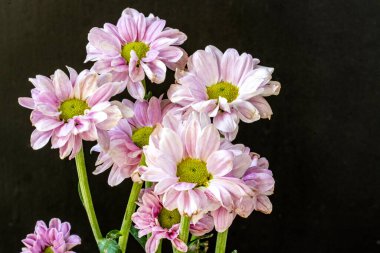 Güzel bir buket çiçek.