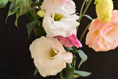 beautiful fresh eustoma flowers on dark background