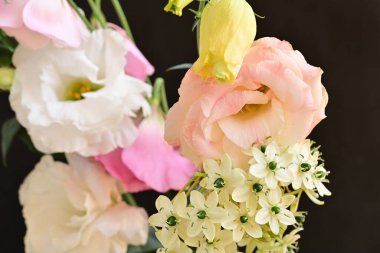 Güzel çiçeğin yakın plan görüntüsü, doğa konsepti.