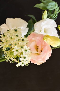 Güzel çiçeğin yakın plan görüntüsü, doğa konsepti.