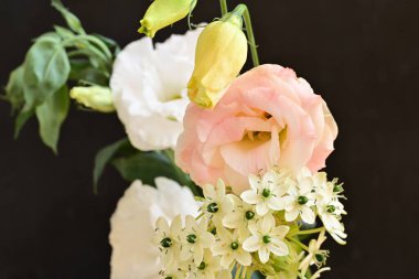 Güzel çiçeğin yakın plan görüntüsü, doğa konsepti.