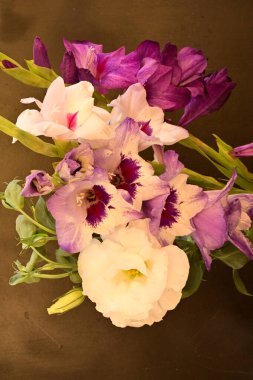 beautiful gladiolus flowers close up on dark background 