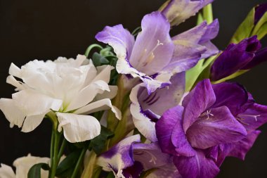 beautiful gladiolus flowers close up on dark background 