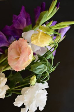 Güzel çiçeğin yakın plan görüntüsü, doğa konsepti.