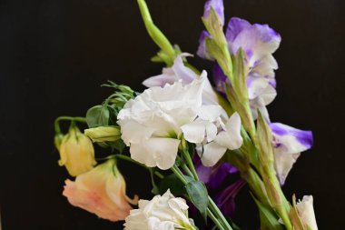 Güzel çiçeğin yakın plan görüntüsü, doğa konsepti.