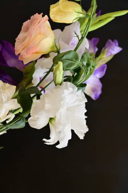 Koyu arkaplanda güzel çiçekler, bahar konsepti, yakın görüş