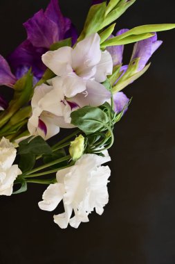 Koyu arkaplanda güzel çiçekler, bahar konsepti, yakın görüş