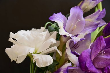 Koyu arkaplanda güzel çiçekler, bahar konsepti, yakın görüş