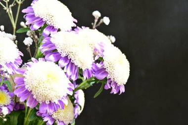 Siyah arkaplanda güzel beyaz ve pembe çiçekler