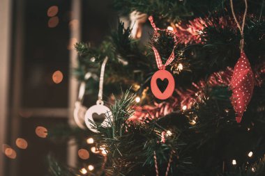 Noel ağacı dekor topu portre