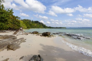 akşam - doğa arka plan tropikal plaj