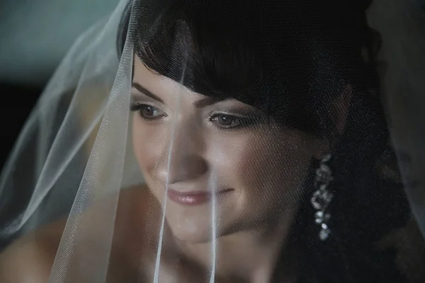 The brides face under the veil close-up