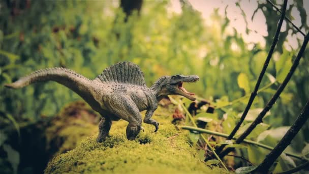 The largest carnivorous dinosaur spinosaurus, childrens toy, come to life — Stock Video