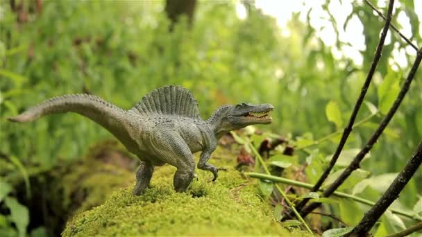 Самый большой плотоядный динозавр спинозавр, детская игрушка, оживает — стоковое видео
