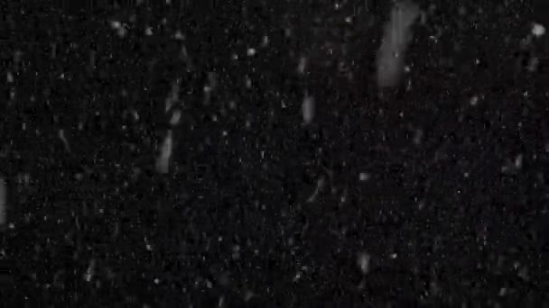 冬季大雪在黑色背景下落下 — 图库视频影像