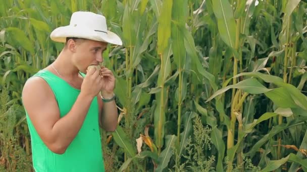 Man the farmer in the hat tries corn on the quality — Stock Video