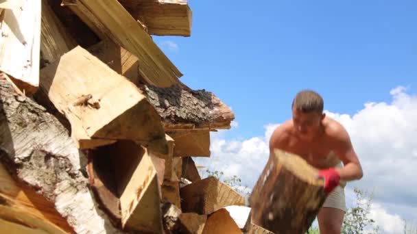 Ein Mann an einem heißen, sonnigen Tag schwitzt beim Holzhacken — Stockvideo