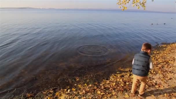 Menino Lança Seixos Para Mar — Vídeo de Stock