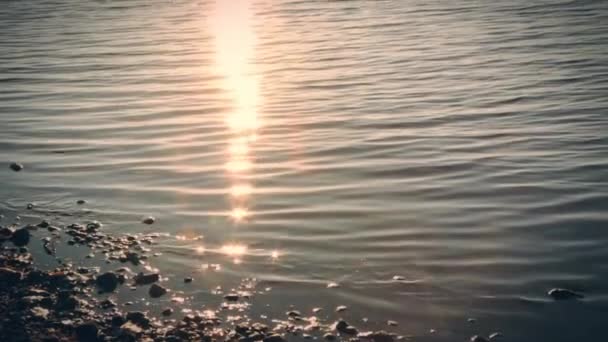 À la surface de l'eau Brille du soleil — Video