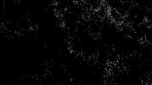 Textura movimiento ondas de manchas blancas sobre un fondo negro — Vídeos de Stock