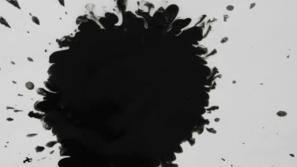 El efecto blanco y negro con una gota de tinta 1920x1080 — Vídeos de Stock
