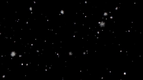 黒い背景 Hd に、冬に雪が降る牡丹雪 — ストック動画
