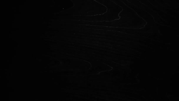 テクスチャは、黒い背景に白い粉の登場です。 — ストック動画