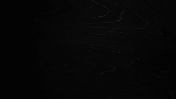 Dispersa polvo blanco sobre fondo negro HD — Vídeo de stock