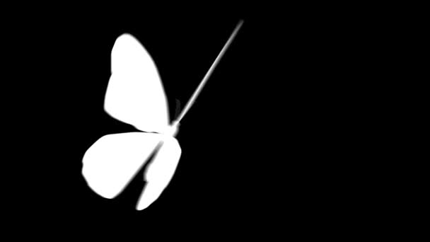 Animation of movement of one white butterfly on a black background — Stock Video