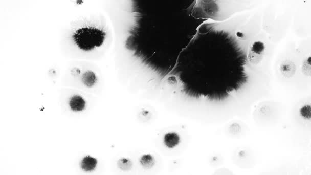 黑色和白色的效果与一滴墨水1920 — 图库视频影像
