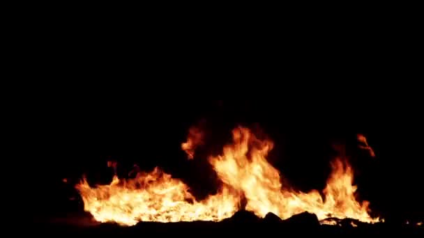 Entzündete ein großes Feuer in der Nacht auf einem schwarzen Hintergrund 1280x720 — Stockvideo