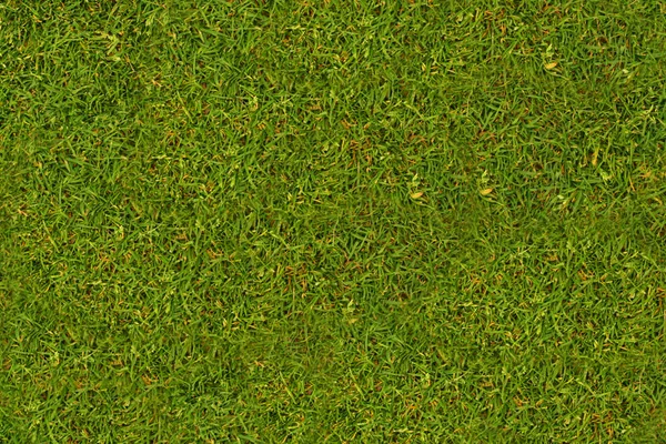 Свежая зеленая трава в парке для активного отдыха — стоковое фото