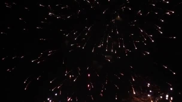 Fête du Nouvel An feux d'artifice sur un fond noir HD — Video