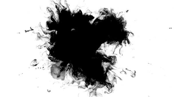 Effet noir et blanc avec une goutte d'encre sur fond blanc HD — Video