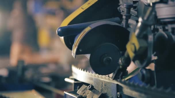 Equipment for sharpening saws for cutting wood HD 1920 — Stock Video