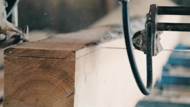 В деревообрабатывающей промышленности выпускают древесный материал HD 1920x1080 — стоковое видео