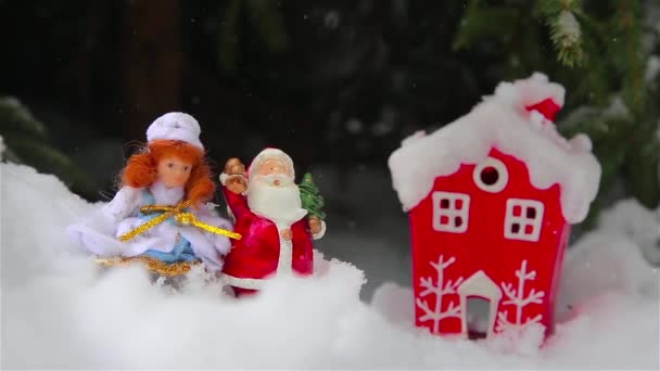 Игрушки Санта Клаус и снегурочка в лесу на открытом воздухе — стоковое видео