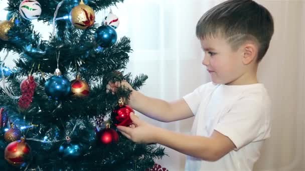 Un niño pequeño decora el árbol de Navidad 1920 HD — Vídeos de Stock