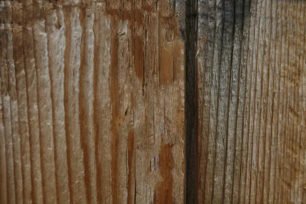 Yönetim Kurulu eski ahşap yüzeyine ince dilimler halinde kahverengi boya — Stok fotoğraf
