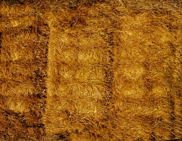 Yellow straw is pressed into bales .Texture or background. — 스톡 사진