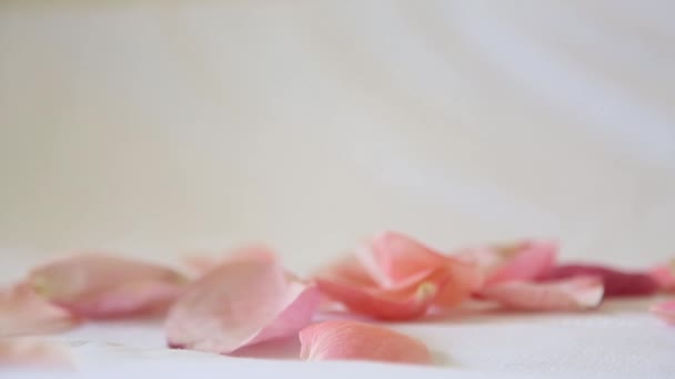 Лепестки цветка бледно-розовый падают на белой ткани HD 1080 — стоковое видео