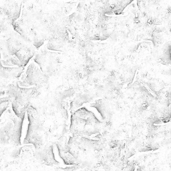 Огромное количество микроорганизмов и бактерий под сильным микроскопом — стоковое фото