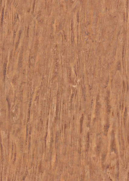 Кора из коричневой древесины с естественным текстурированным фоном или текстурой — стоковое фото