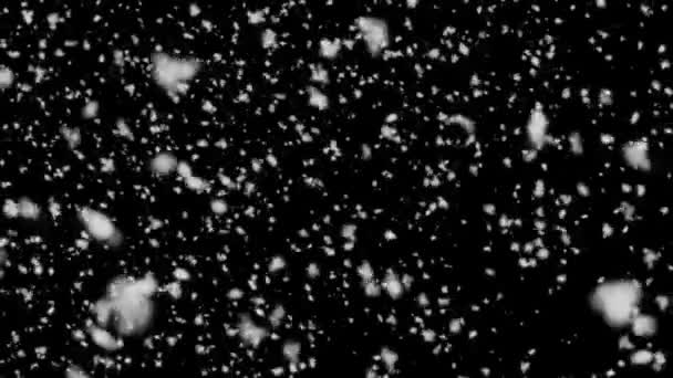 Grandes copos de nieve cayendo desde la parte superior sobre un fondo negro HD 1920x1080 — Vídeos de Stock