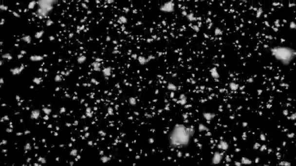 Duża liczba płatków śniegu wypadających z góry na czarnym tle — Wideo stockowe