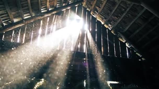 Poeira voa nos raios de luz solar no sótão do celeiro velho HD 1920x1080 — Vídeo de Stock