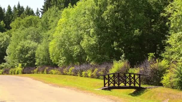 Hermosa vista de la zona del Parque con un puente de madera HD 1920x1080 — Vídeo de stock